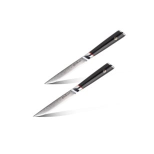 Set nožev za zrezke Rosmarino Steak Elite Damascus