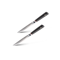 Set nožev za zrezke Rosmarino Steak Elite Damascus