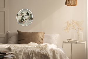 Pršice: vaši nevidni sostanovalci, ki škodijo zdravju