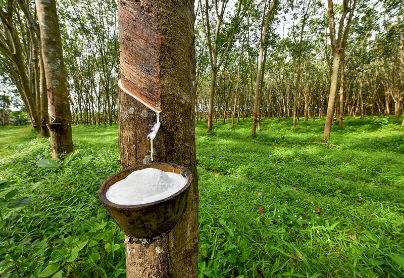 100 % kosmiči lateksa za najboljšo prilagodljivost tvojemu spancu.
