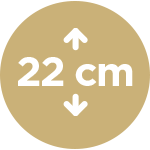 VIŠINA 7-CONSKEGA LEŽIŠČA