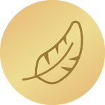 Vrhunska kakovost in mehkoba