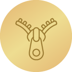 Notranji žep z zadrgo