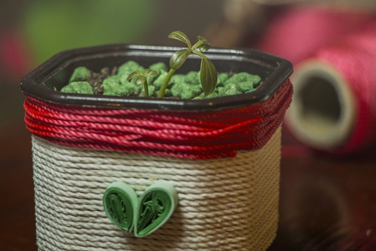 Vrvice različnih barv